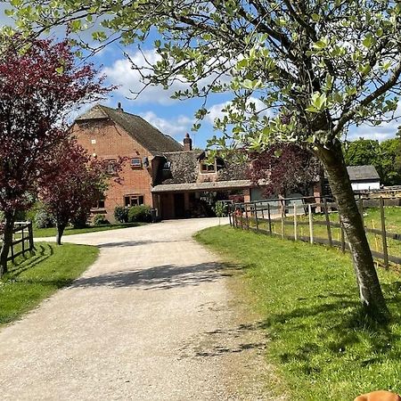 Self Catering Apartment, Jurassic Coast/Dorset Wareham Eksteriør billede