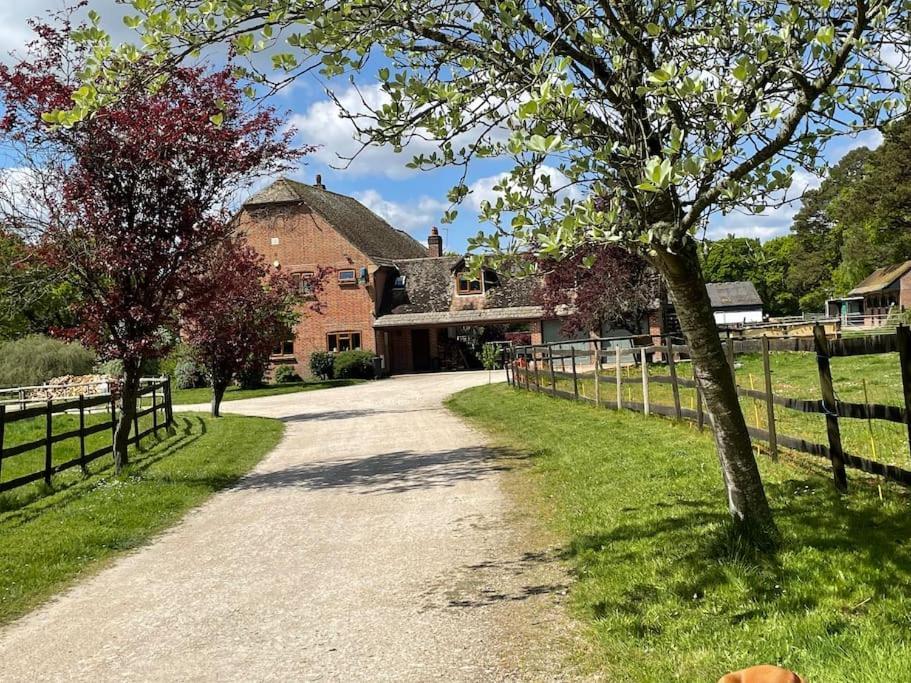 Self Catering Apartment, Jurassic Coast/Dorset Wareham Eksteriør billede