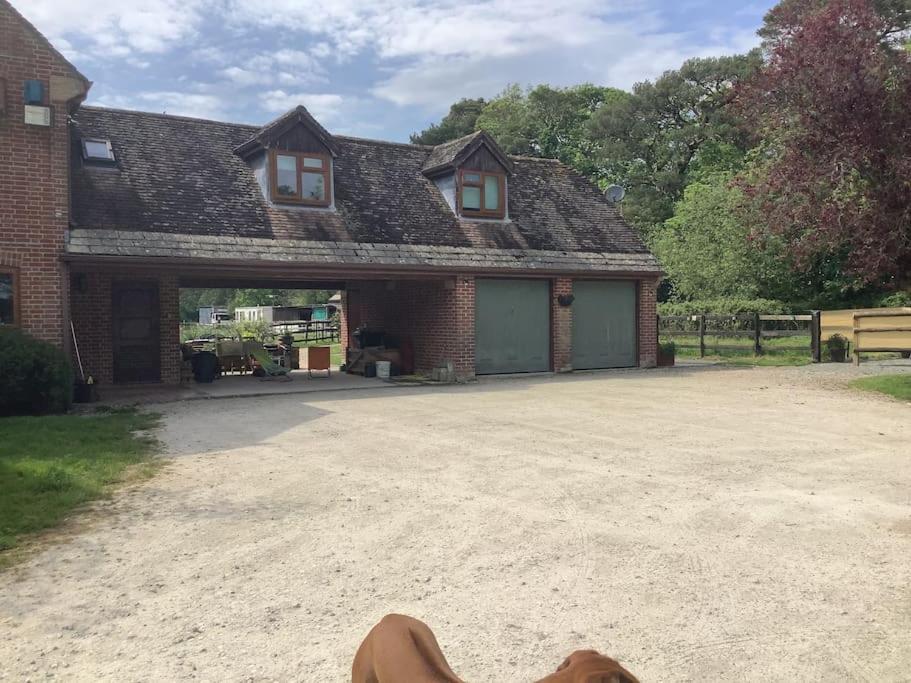 Self Catering Apartment, Jurassic Coast/Dorset Wareham Eksteriør billede